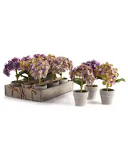 Napa Home & Garden Set of 12 Mini Hydrangea Potted 6.5in