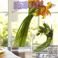 在飛比找露天拍賣優惠-【免運】創意花瓶玻璃水培花盆透明長方形扁缸扁形魚缸簡約臺面鮮