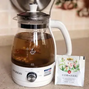 HYUNDAI 煮茶器家用全自動蒸汽煮茶壺黑茶蒸茶器小型辦公室玻璃