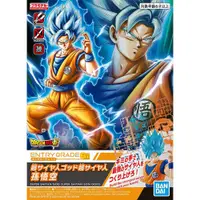 在飛比找蝦皮商城優惠-【BANDAI】組裝模型 ENTRY GRADE 七龍珠 超