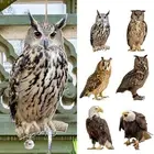 2D Bird Repel Scarecrow Owl Scarecrow Scarer Pendant Decorative Scarer with Bell