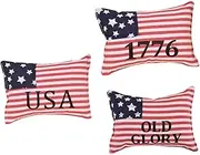 RORPOIR Mini American Flag Pillows 3-Piece Set Independence Day Accessory Photo Prop Home Office Decor