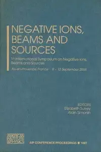 在飛比找博客來優惠-Negative Ions, Beams and Sourc