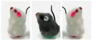 GO CAT DA WOBBLE MOUSE KITTEN CAT SMALL PET TOYS COUNT OF 3 MICE