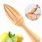 Log color Press Cone Manual Juicer Kitchen Tools Fruit Orange Juice Extractor