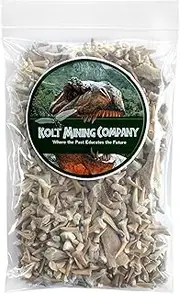 Kolt Mining Bulk Real Fossilized Shark Teeth (One Pound)