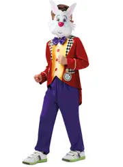 Alice in Wonderland Boys White Rabbit Costume
