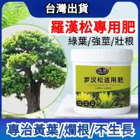 在飛比找蝦皮購物優惠-【高雄出貨】羅漢松 適用肥料 室內 專用 松樹 珍珠羅漢松 