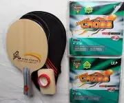 Being Professional: Custom Table Tennis Bat Allround: DHS SR-A + 729 Rubbers OZ