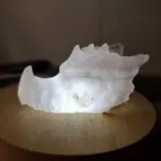 Quartz With Golden Healer Dragon Skull