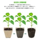 10 Cells Plant Starter Tray Biodegradable Nursery Pot Garden Seedling CaVdJ