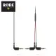 RODE SC11 一對二 3.5mm 音源線