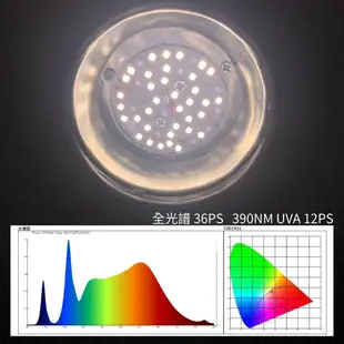 君沛植物燈 UV植物燈 15瓦 紫外線全光譜 植物燈泡 UV燈泡 E27 紫外線燈泡 台製 保固一 (9.4折)