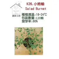 在飛比找momo購物網優惠-【蔬菜工坊】K26.小地榆種子