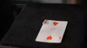 Phoenix (Gimmick) Sirus Magic Close Up Magic Tricks Card Magic Props Illusions
