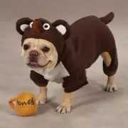 Zack & Zoey Lil' Honey Bear, Dog Halloween Costume, Large Pet