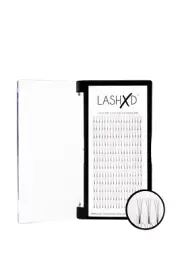 BEST 3D .10 C Pre Made Fans that mimic hand crafted LashXD 11mm