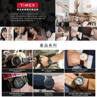 【TIMEX】天美時 Q TIMEX復刻系列 經典手錶 (藍金 TXTW2T80800)