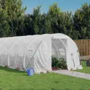 Steel Frame Greenhouse Walk-in Tunnel Garden Shed Plant House White 24m 8x3x2m