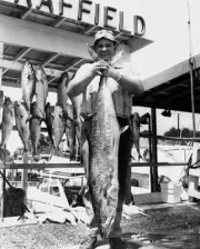 Man Holding King Mackerel In Panama City In Florida 1973 Old Fishing Photo
