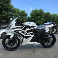 在飛比找蝦皮購物優惠-【下單咨詢客服】尾排摩托車跑車北極光地平線大跑車公路賽機車1