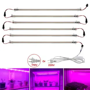 植物補光燈 110V全光譜LED植物生長燈條家用多肉上色花架室內綠植補光燈