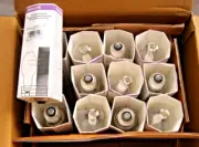 Philips 175W HID LAMP LIGHT BULBS MS175/M/BU/PS METAL HALIDE E26 ED17 232496 12P