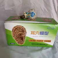 在飛比找蝦皮購物優惠-現貨王不留行籽耳穴貼七件套