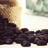 在飛比找ETMall東森購物網優惠-Gustare caffe 精選吉馬咖啡豆(半磅)