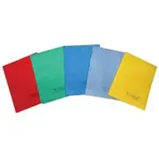 Sofeel Cleaning Cloths 40 x 38cm 70% Viscose Green 25 Pack