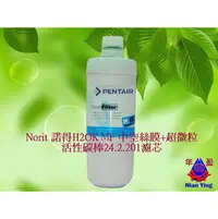 在飛比找PChome商店街優惠-【年盈淨水】Pentair Norit 荷蘭諾得24.2.2