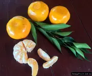 Buy Dwarf Mandarin Fruit Trees - Imperial, Citrus reticulata