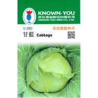 在飛比找蝦皮購物優惠-四季園 高麗菜  Cabbage【農友種苗】甘藍  蔬菜原包