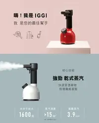 在飛比找樂天市場購物網優惠-永大醫療~LAURASTAR IGGI 手持蒸汽掛燙機(紅/