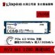 Kingston 金士頓 NV2 250GB NVMe PCIe 4.0 SSD 固態硬碟 M.2 2280