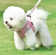 Pink Mesh Harness Vest, Adjustable Collar, 10' Retractable Leash Set Sz: M NEW