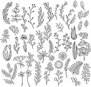 Semi-Permanent Tattoo,Leaf HC-BB-866,Leaf Tattoos,Lasts 1-2 Weeks,Resilience,Real Tattoo Look,Water-Resistant,18 x 11 cm