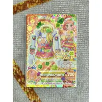 在飛比找蝦皮購物優惠-Aikatsu 偶像活動 偶像學園 PR卡套裝/衣 栗栖心音