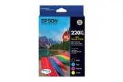 Epson 220XL 4 Ink Value Pack Value Pack C13T294692