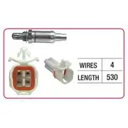 RAE Oxygen Sensor - OX542