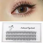 Cluster Eyelashes Curl False Eyelash New Segmented Lashes