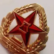 Original Chinese PLA Military Surplus Type 07 Army Enameled Metal Hat Badge 2Pcs