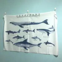 在飛比找蝦皮購物優惠-【SEMA】北歐魚群掛布🐳海洋掛布 鯨魚掛布