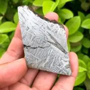 139.8g Altay Iron Meteorite Space Meteorite Slice