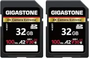 Gigastone 32GB SD Card, 4K Camera Extreme, A2 V30 SDHC Memory Card High Speed 4K Full HD Video Compatible with Canon Nikon Sony Pentax Kodak Olympus Panasonic Digital Camera, with 1 Mini case