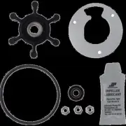 Johnson Service Kit Ta3P10-19 Macerator 945595