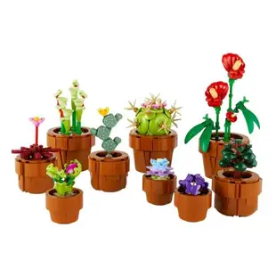 樂高 LEGO 積木 IDEAS 系列 迷你盆栽 Tiny Plants10329