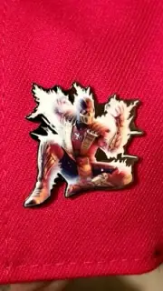 49ers Scorpion Mortal Kombat Hat Pins