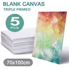 5x Artist Canvas Blank Stretched 70X100CM Art Large White Range Oil Acrylic Wood