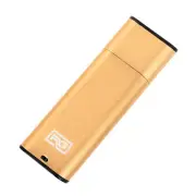 FD10 USB Drive Mini Voice Recorder Small Covert Audio Recording Device, Gold